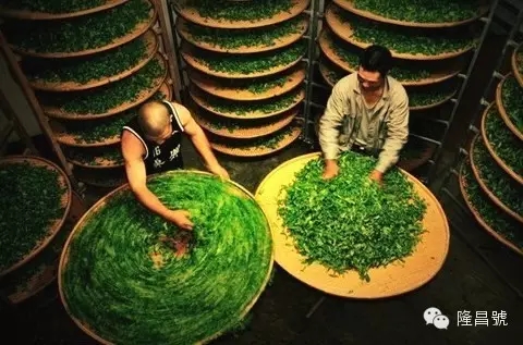 640_wx_fmt=jpeg&tp=webp&wxfrom=5&wx_lazy=1.webp (3).jpg