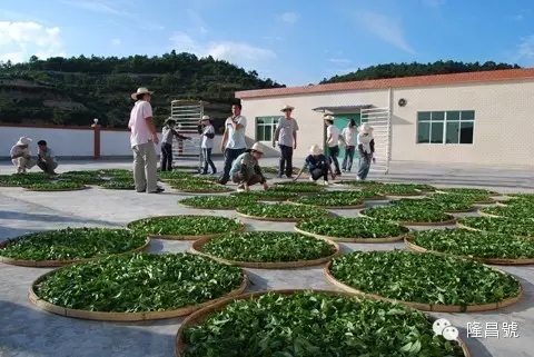 640_wx_fmt=jpeg&tp=webp&wxfrom=5&wx_lazy=1.webp (1).jpg